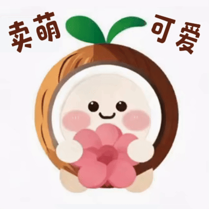 元气椰小宠